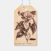 Étiquettes-cadeau Illustration de la gloire du matin (Devant)