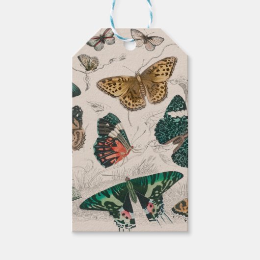 Étiquettes-cadeau Illustration de papillon antique : Orfèvre 1820 (Devant)