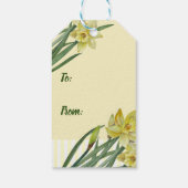 Étiquettes-cadeau Illustration du portrait des jonquilles d'aquarell (Dos)
