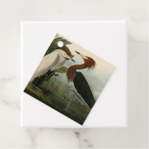 Étiquettes Cadeau Impression de Héron Pourpré d'Audubon : Art d'Oise
