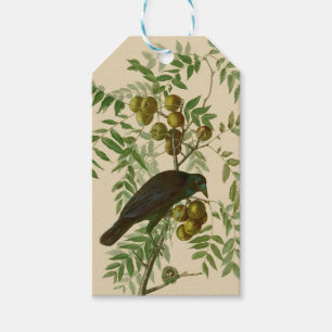 Étiquettes-cadeau Impression d'oiseau Grackle Violet d'Audubon Botan