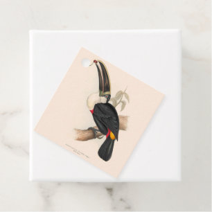 Étiquettes Cadeau Impression du Toucan de Cuvier : Oiseau Tropical V