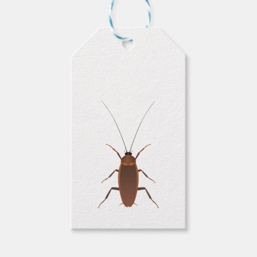 Étiquettes-cadeau Insecte Cockroach (Devant)