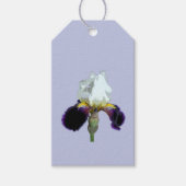 Étiquettes-cadeau Iris pourpre et blanc (Devant)