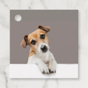 Étiquettes Cadeau Jack Russell Puppy Sweet Adorable Baby Jack