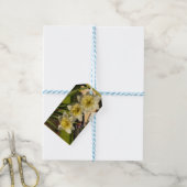 Étiquettes-cadeau Jeu de jonquilles ensoleillé (Avec de laficelle)