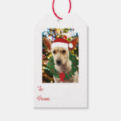 Étiquettes-cadeau Joie au chiot (Devant)