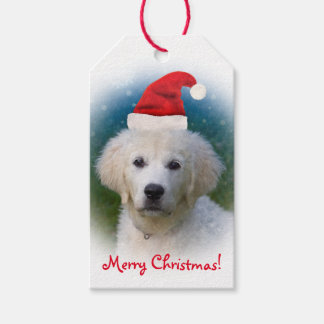 Étiquettes-cadeau Joli chiot Golden Retriever portant le chapeau du