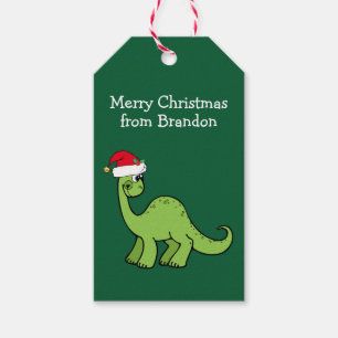 Étiquettes-cadeau Joli Dinosaur de Noël Père Noël Custom Green Party