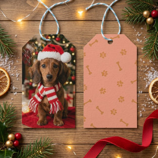 Étiquettes-cadeau Joli portrait de Noël de dachshund avec chapeau de