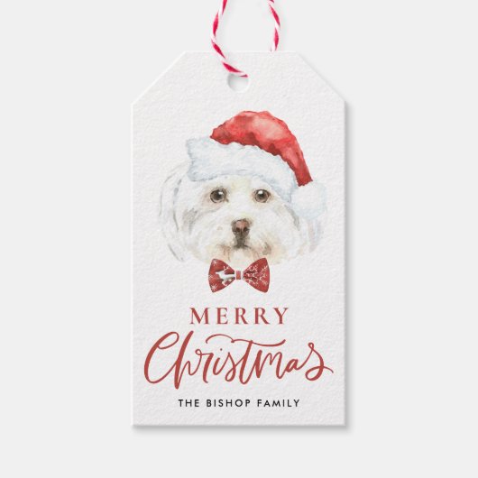 Étiquettes-cadeau Jolie aquarelle Maltese Père Noël Joyeux Noël (Devant)