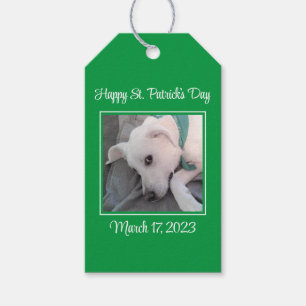 Étiquettes-cadeau Jolie St. Patrick's Day Green Lazy Chien