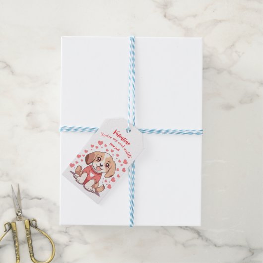 Étiquettes-cadeau Jour de la Saint Valentin (Avec de laficelle)