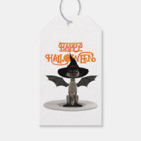 Joyeux Halloween. Chat avec ailes et casquette de