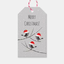 Joyeux Noël Rouge Père Noël Chapeau Oiseaux neige