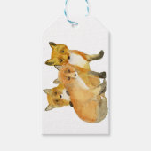 Étiquettes-cadeau Kits Fox (Devant)