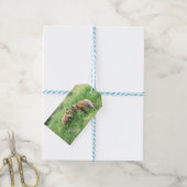 Étiquettes-cadeau Kits Red Fox (With Twine)