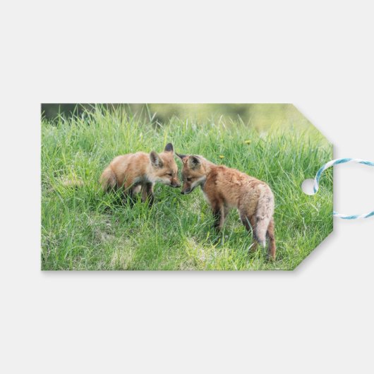Étiquettes-cadeau Kits Red Fox (Devant (Horizontal))