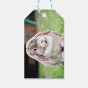 Étiquettes-cadeau lapin à oreilles de lop mignon