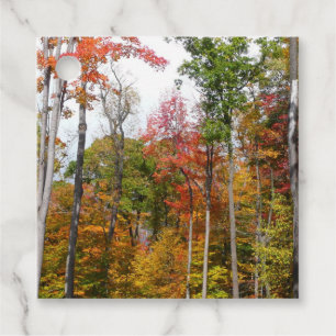 Étiquettes Cadeau L'automne dans la forêt Photographie d'automne col