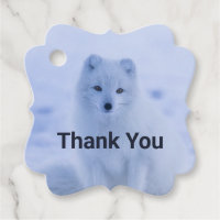 Le renard arctique mou sur le Merci de neige