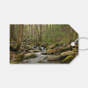Étiquettes-cadeau Le ruisseau Le Conte dans les montagnes Great Smok