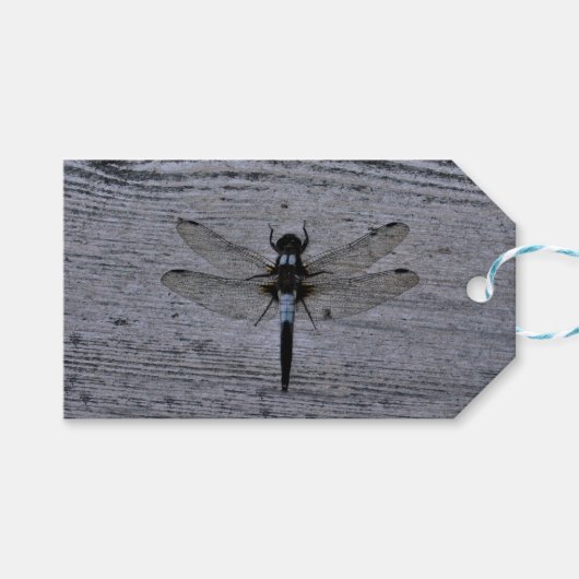 Étiquettes-cadeau Libellule bleue (Devant (Horizontal))