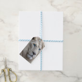 Étiquettes-cadeau Lion blanc (Avec de laficelle)