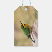 Étiquettes-cadeau Little Bee-Eater (Dos)