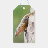 Étiquettes-cadeau Lizard plaqué (Dos)