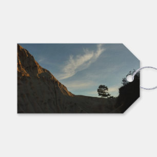 Étiquettes-cadeau Lone Torrey Pine Californie Sunset Paysage