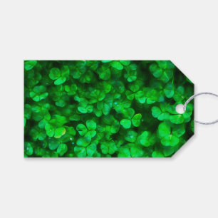 Étiquettes-cadeau Lucky Celtic Irish Green Shamrocks