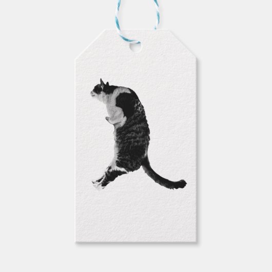Étiquettes-cadeau Marque de chat subtil (Devant)