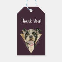 Merci Or Chien Chien Chien Chien Chien Pit Bull