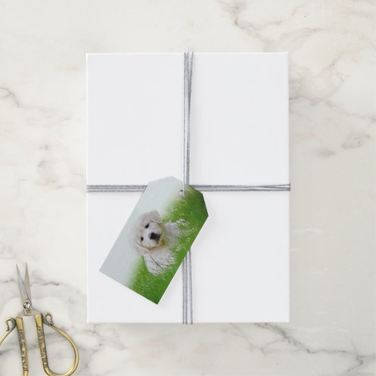 Étiquettes-cadeau Mignonne Golden Retriever Chien Chien Chien Vert G (Avec de la ficelle)