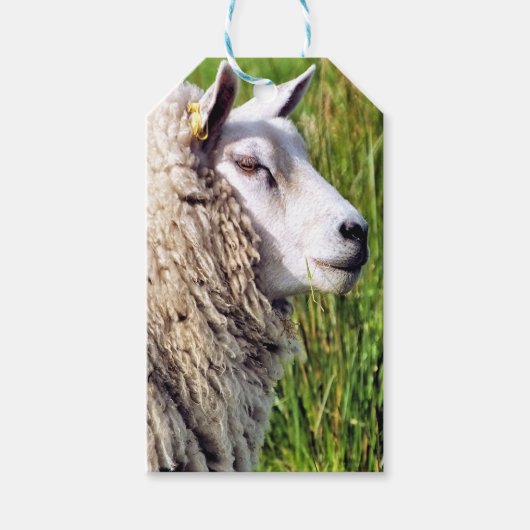 ÉTIQUETTES-CADEAU MOQUETTE (Devant)