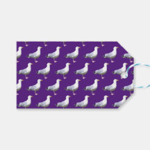 Mouette pourpre debout