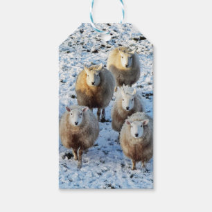 Étiquettes-cadeau Mouton