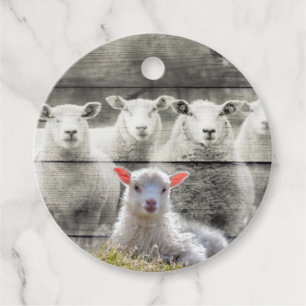Étiquettes Cadeau Mouton d'agneau de bébé