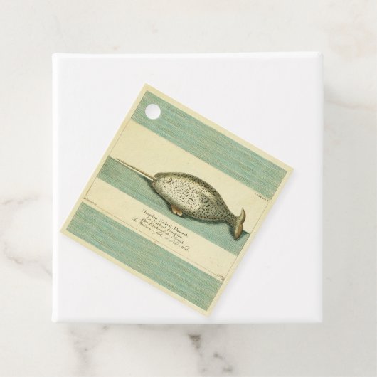 Étiquettes Cadeau Narwhal Antique Baleine Aquarelle Art scientifique (En situation)
