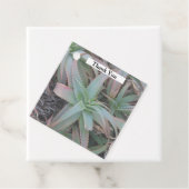 Étiquettes Cadeau Nevada succulents (En situation)