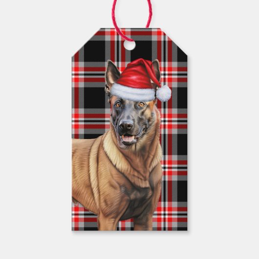 Étiquettes-cadeau Noël Amoureux des chiens Malinois belge Red Plaid (Devant)
