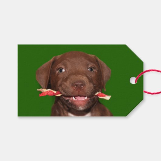 Étiquettes-cadeau Noël au chiot mignon (Devant (Horizontal))