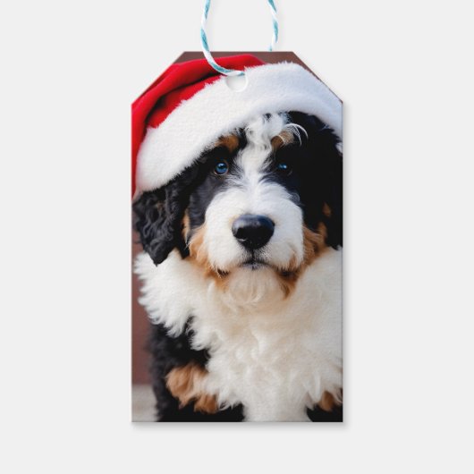 Étiquettes-cadeau Noël Bernedoodle (Devant)
