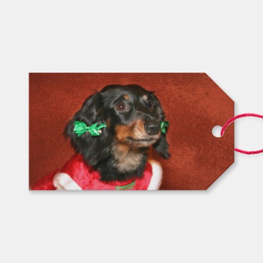 Étiquettes-cadeau Noël Dachshund (Devant (Horizontal))