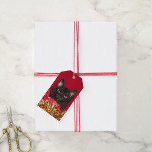 Étiquettes-cadeau Noël de chat