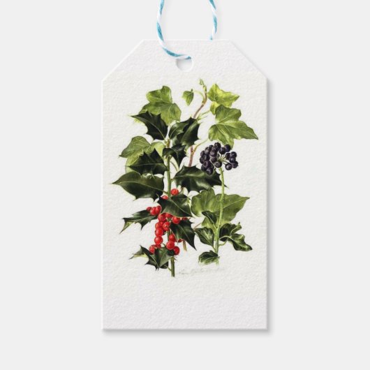 Étiquettes-cadeau Noël de la conception du lierre et du saint (Devant)