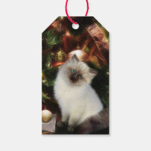 Étiquettes-cadeau Noël de l'Himalaya de chaton