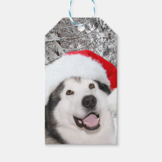 Étiquettes-cadeau Noël de Malamute en Alaska