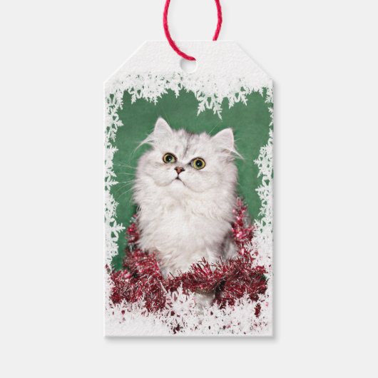 Étiquettes-cadeau Noël du chaton perse (Devant)
